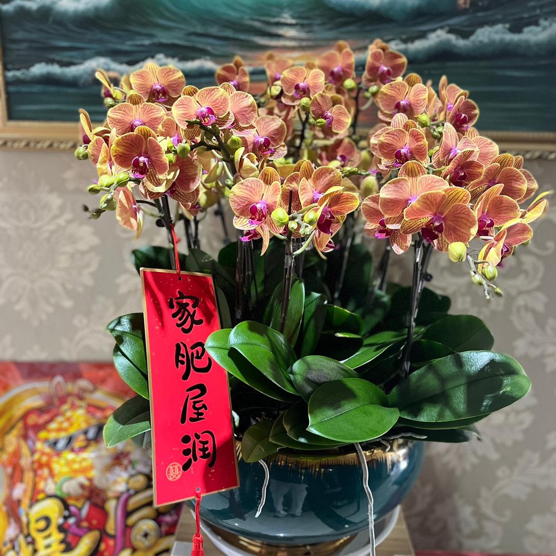 牛妈