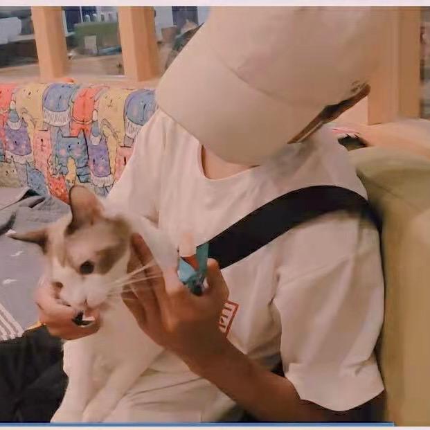 湛江小生蚝