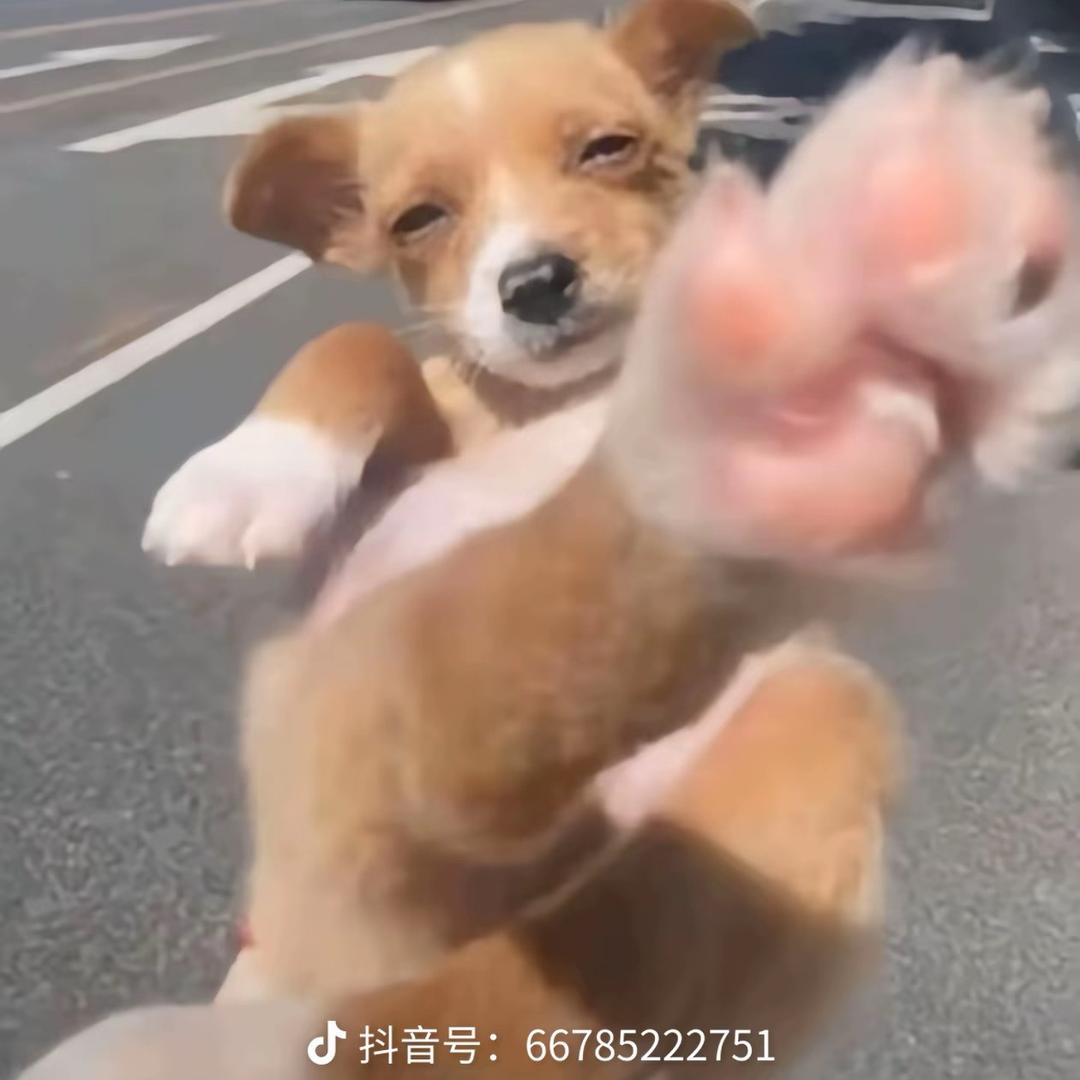 楠川