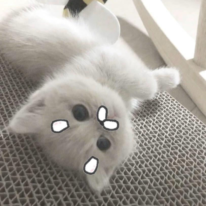 泪色点滴
