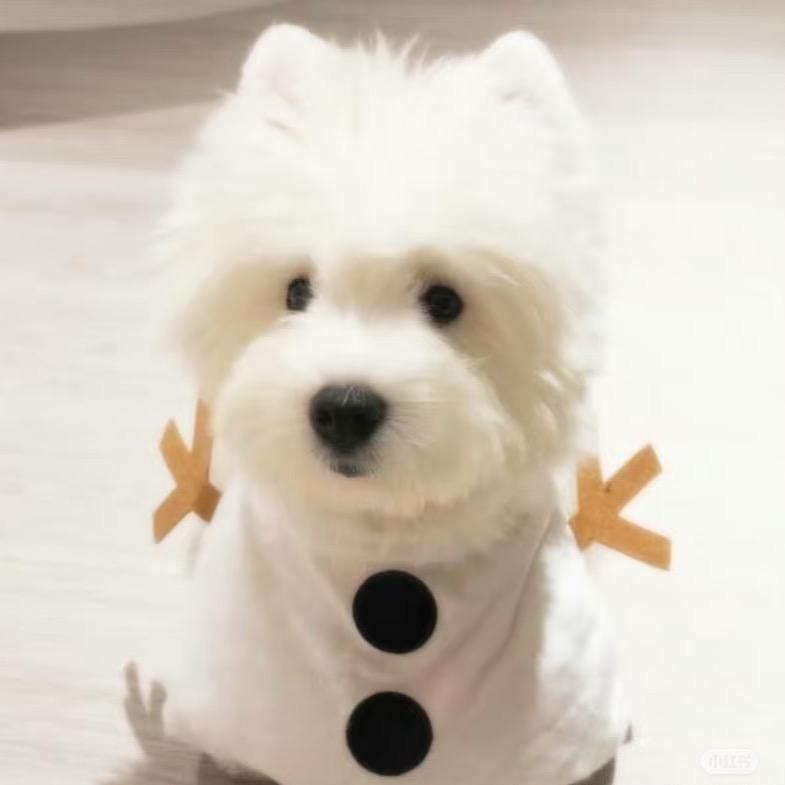 11.