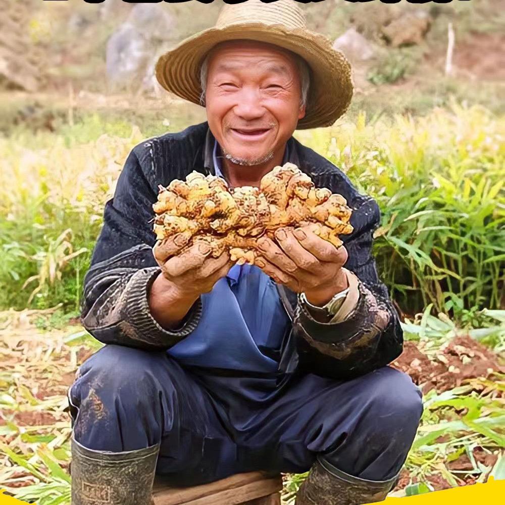 邓小鲜