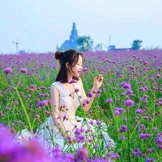 紫嫣