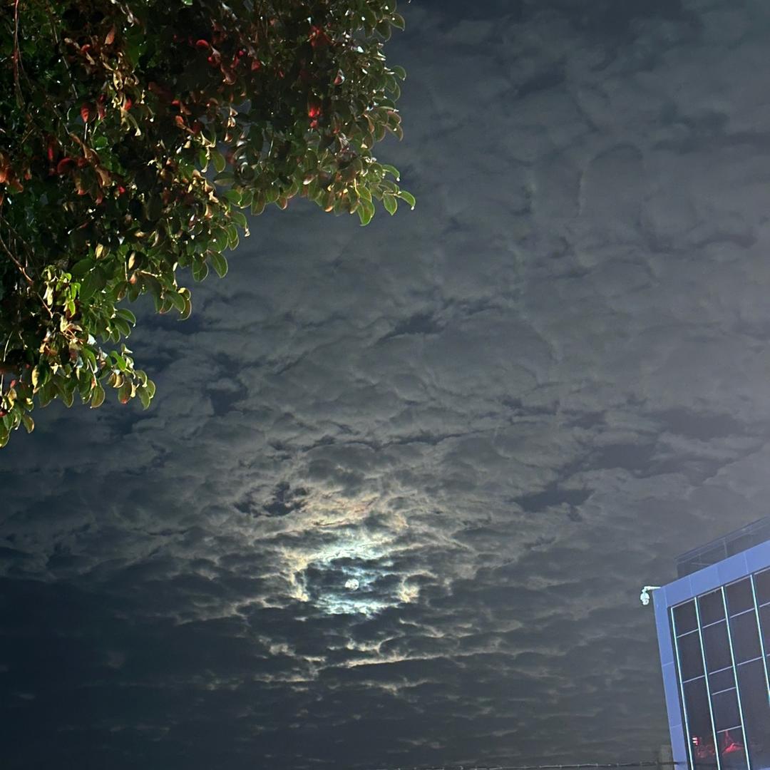 今天你开心吗