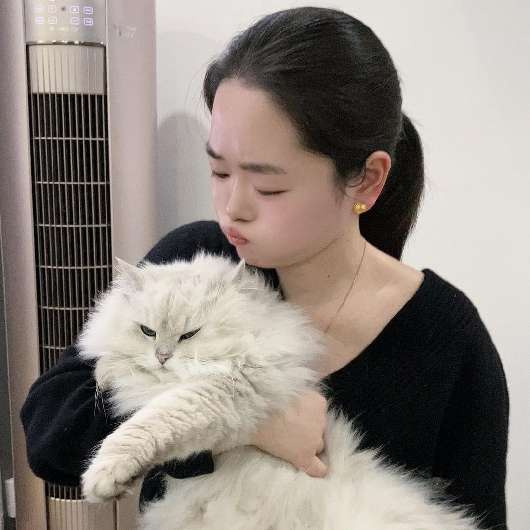 柿柿就柿子