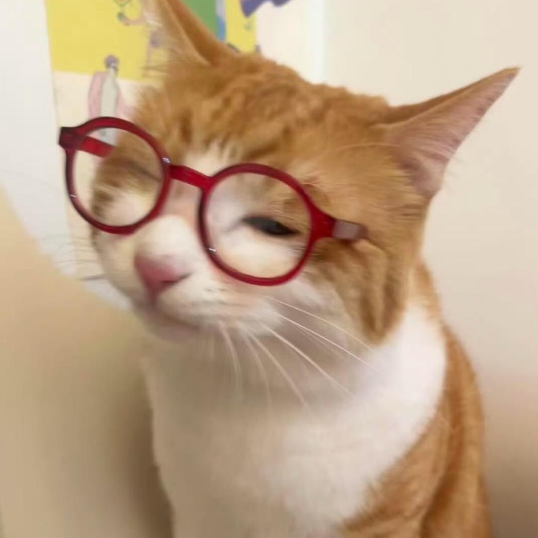 欺负一只小猫？