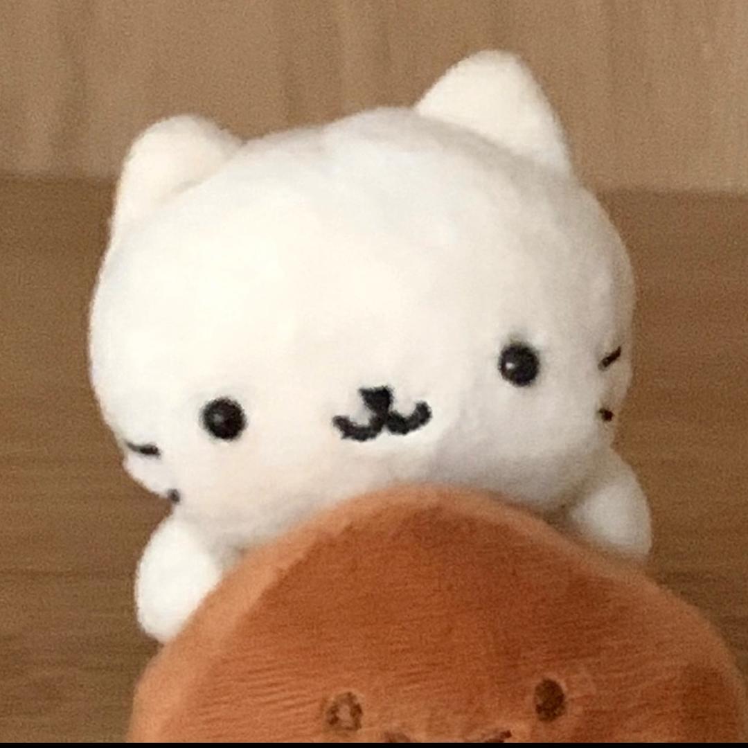 轻语（三角洲行动）