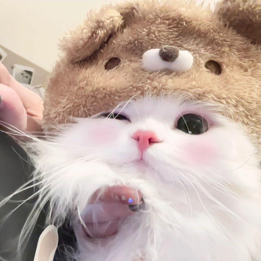 王亿涵（在校版）🥺