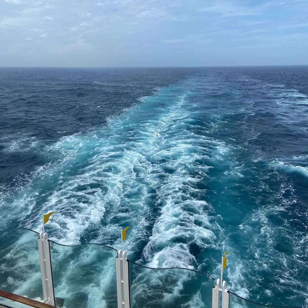 海锋（超慢跑🏃）