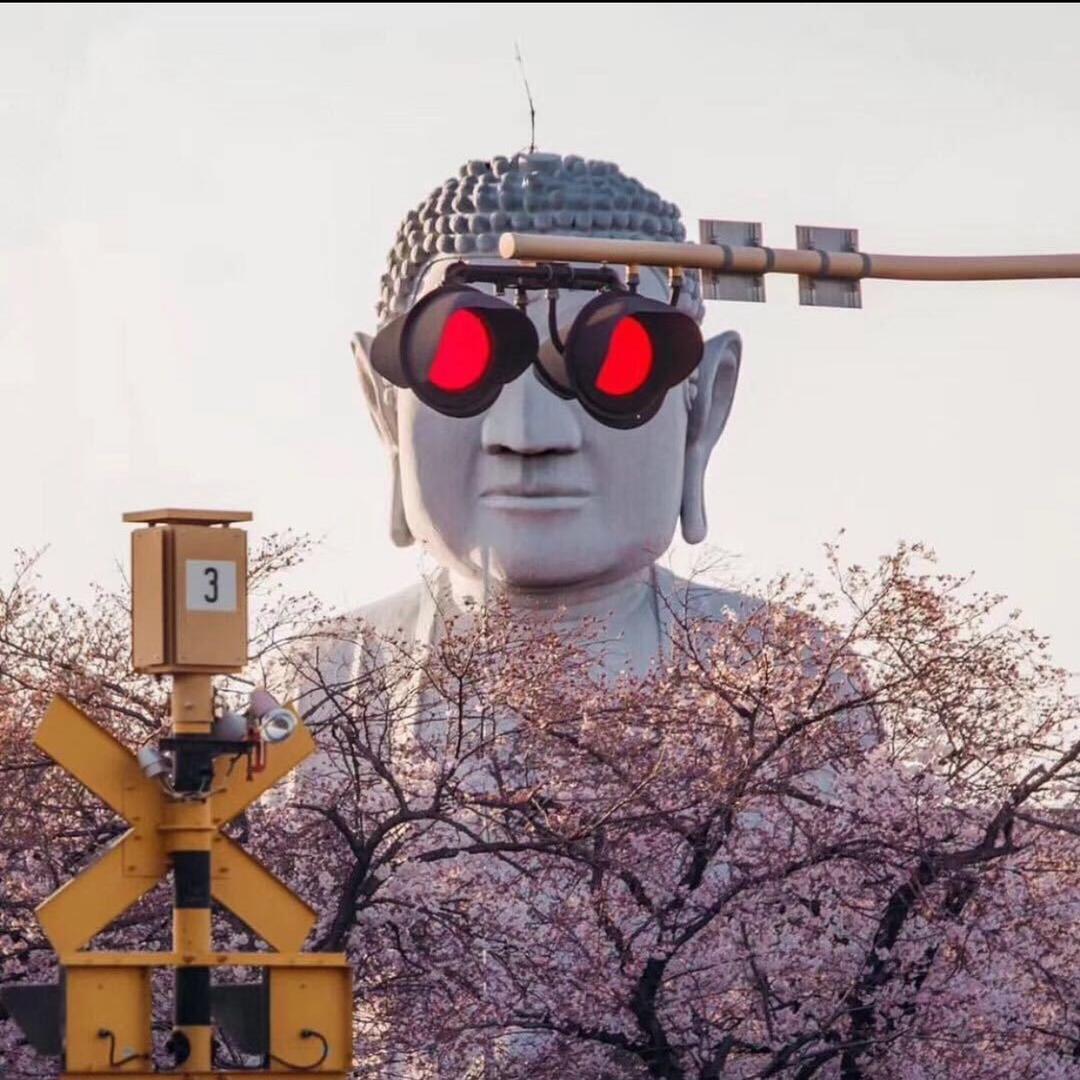 按时吃饭丶