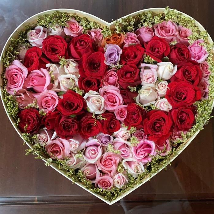 巍巍簕杜鹃园艺