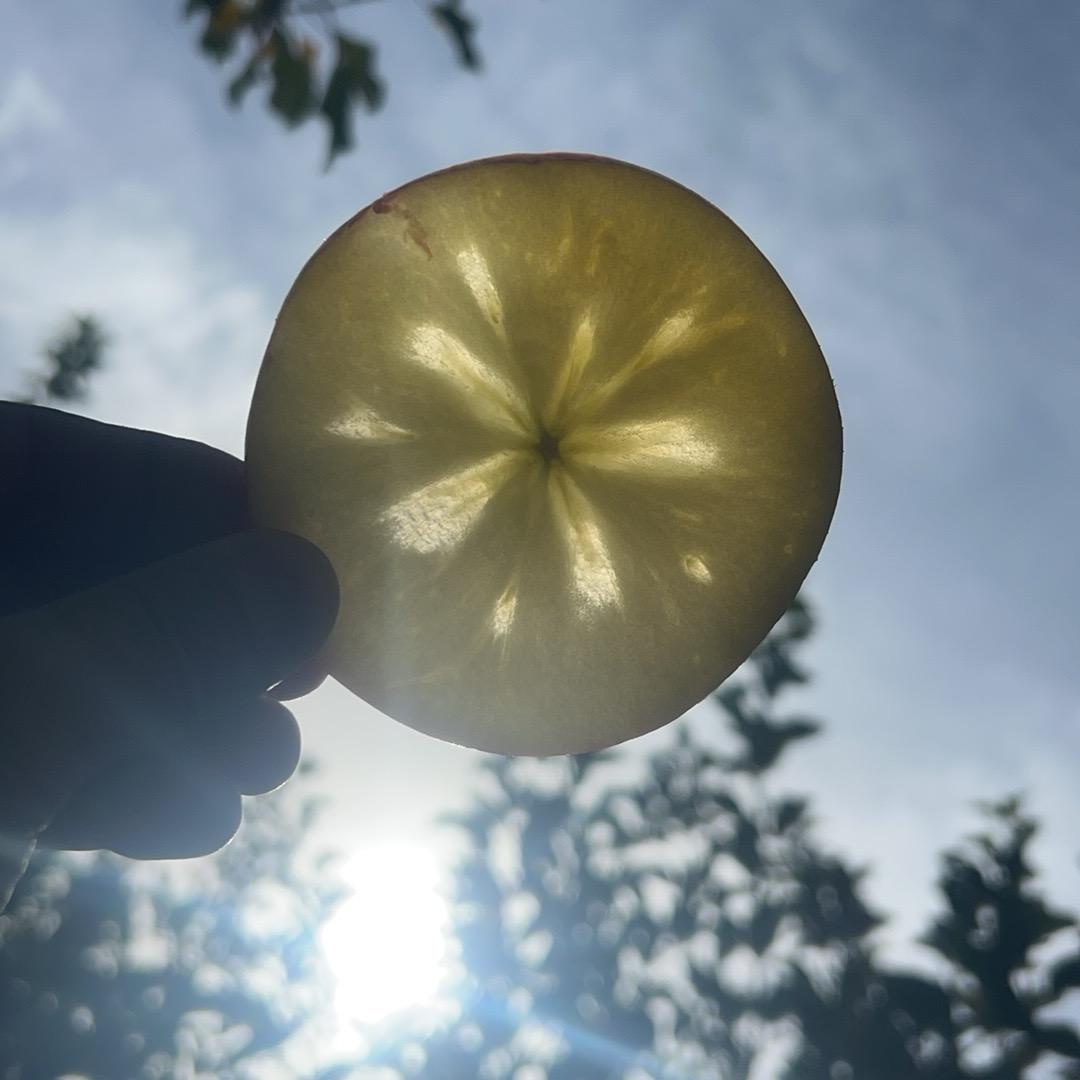 王小虎