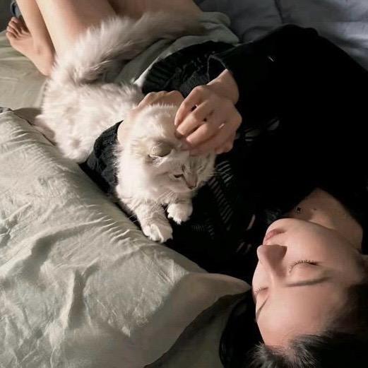 Ｚｚｚ