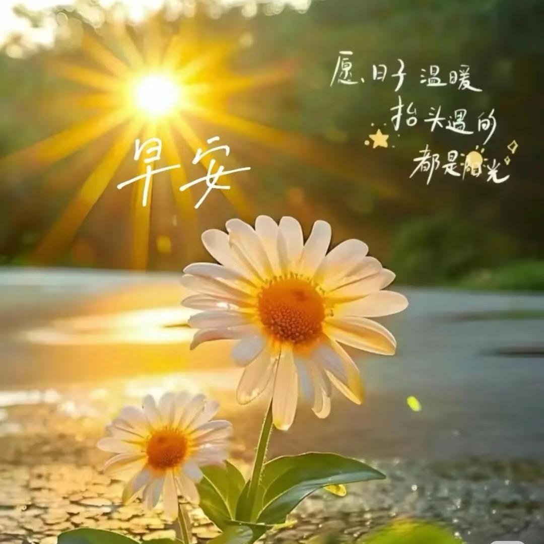 平静