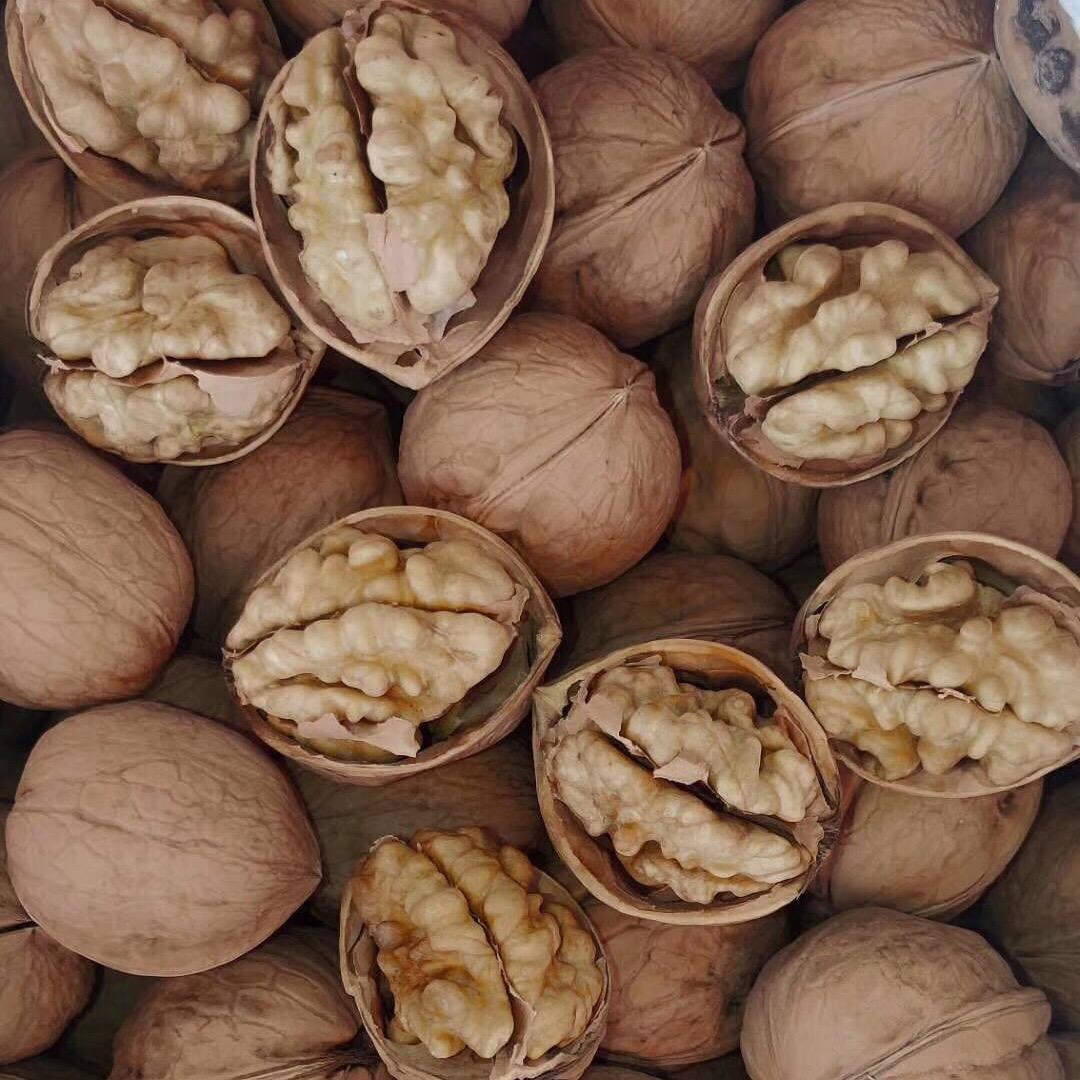 茜茜果品店
