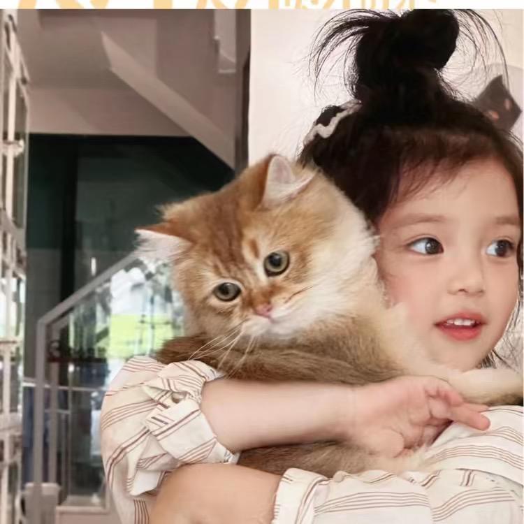 Hui🌸