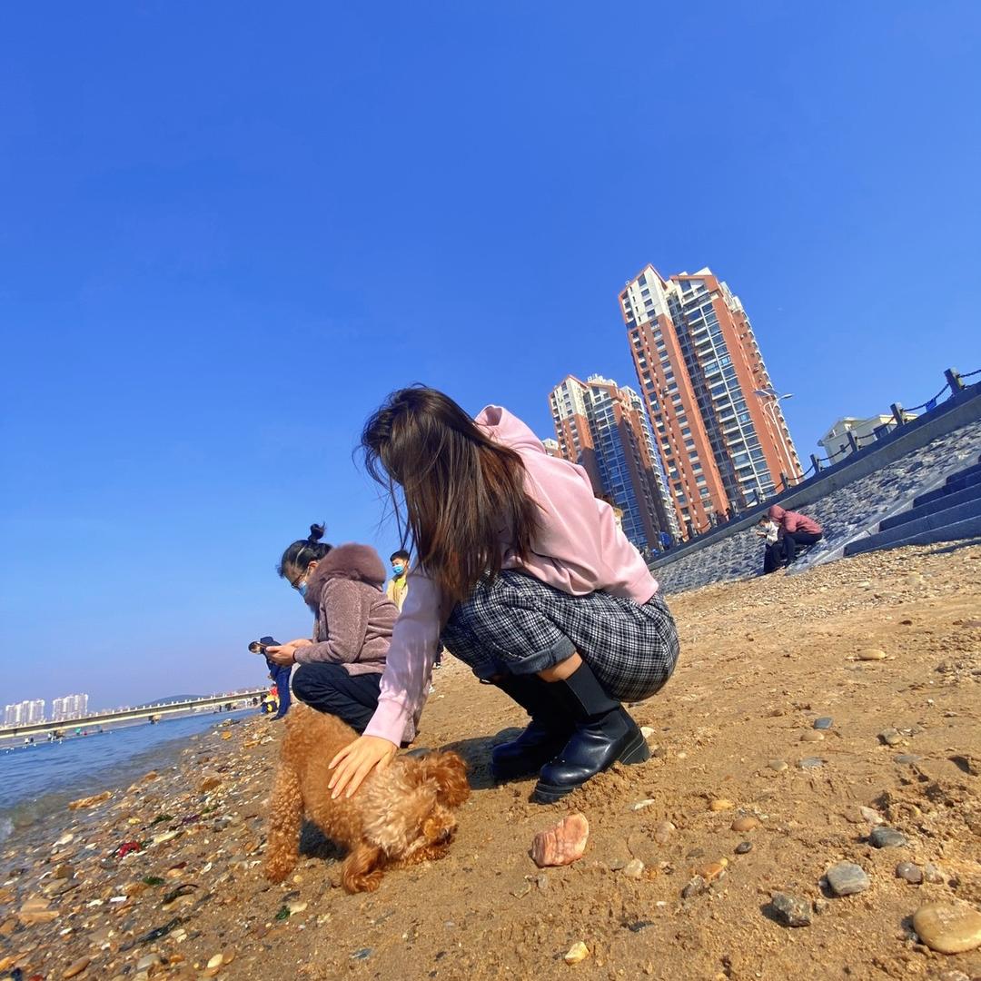 猪猪敲爱吃