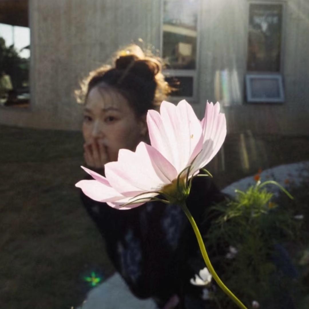 黄花菜