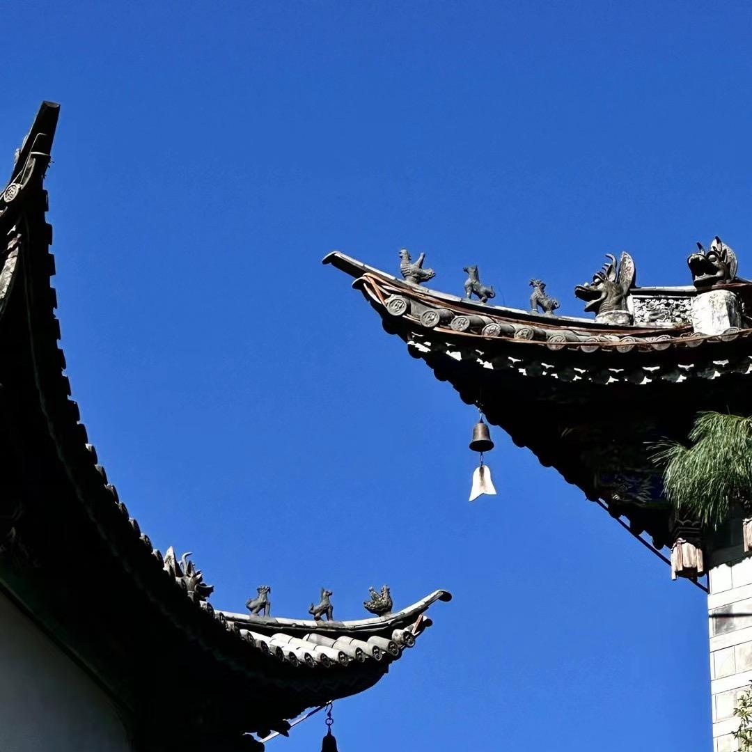 相亲红娘张老师