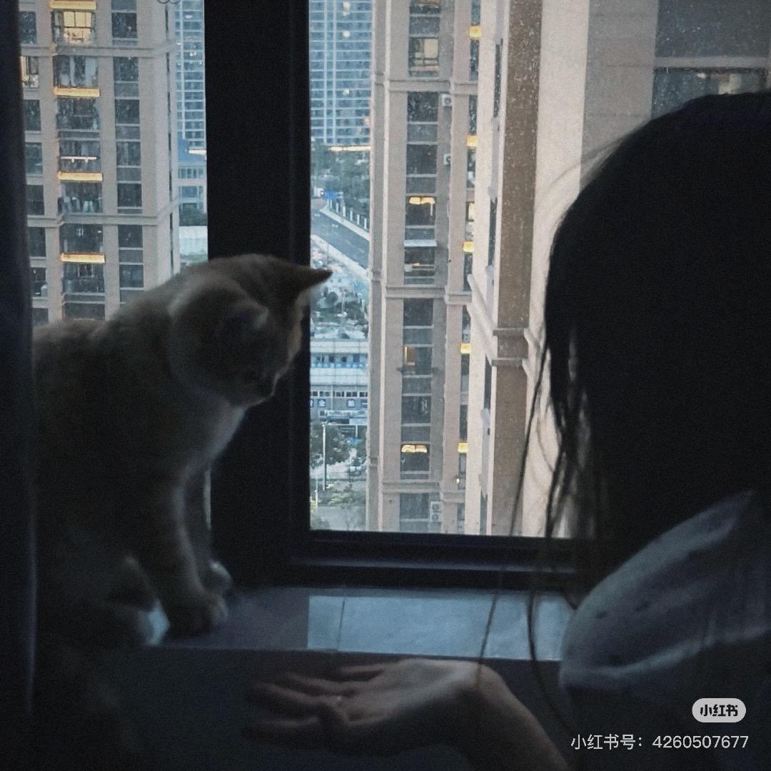 𝑴𝒚 𝒃𝒃c🥨