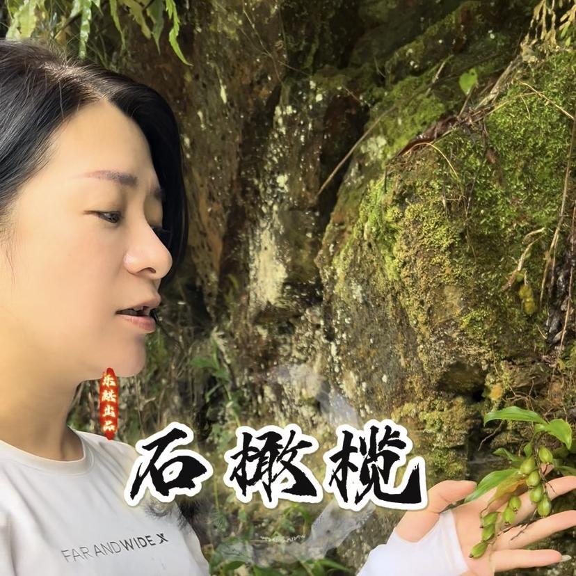 乐麒专营店