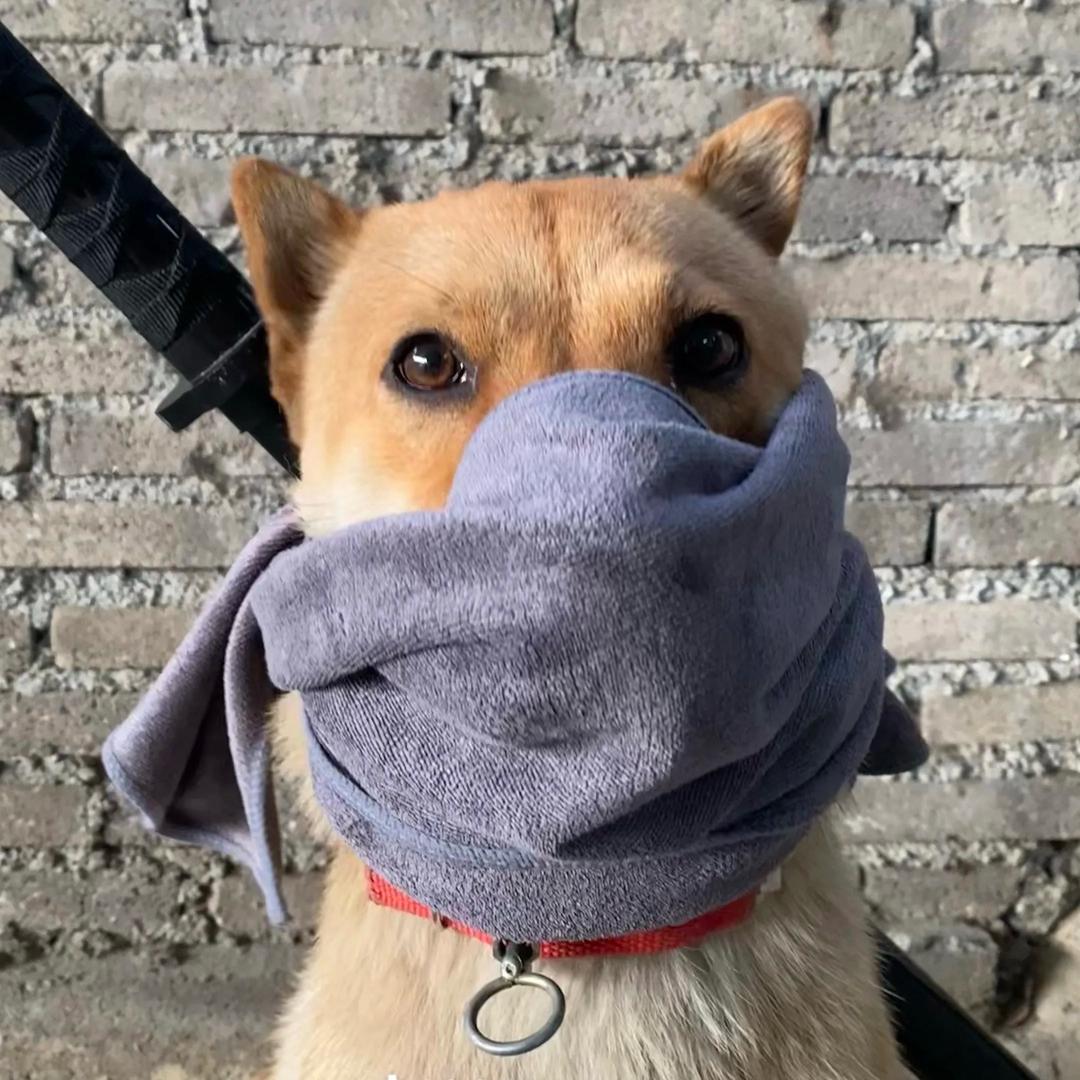志明。