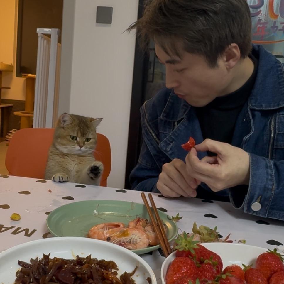 高高在这里