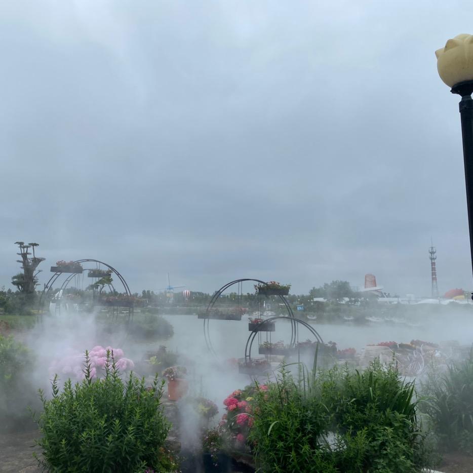 锋芒不露