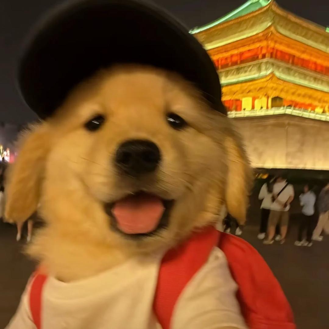 都远离我小帅吧