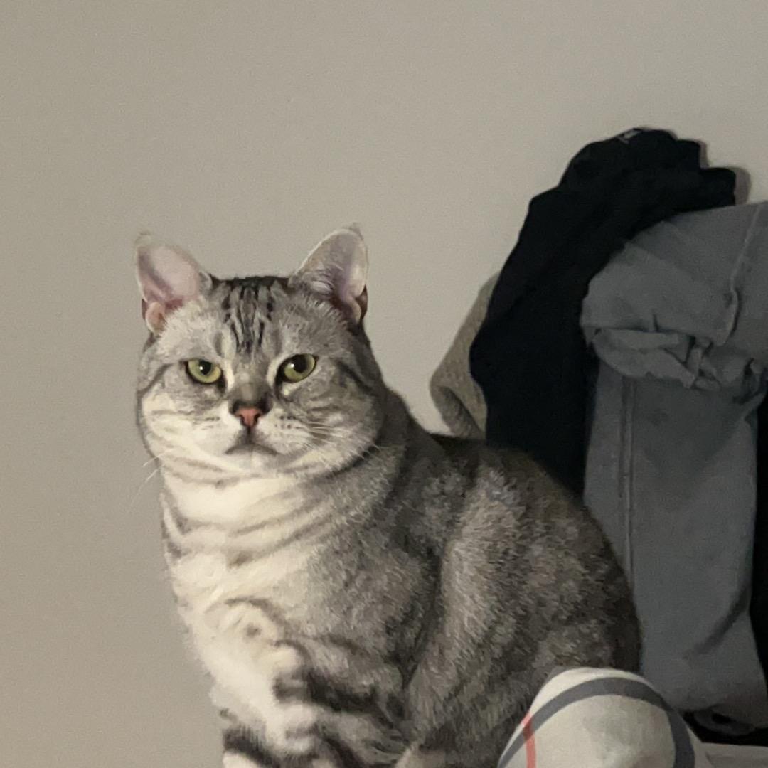 高杨.
