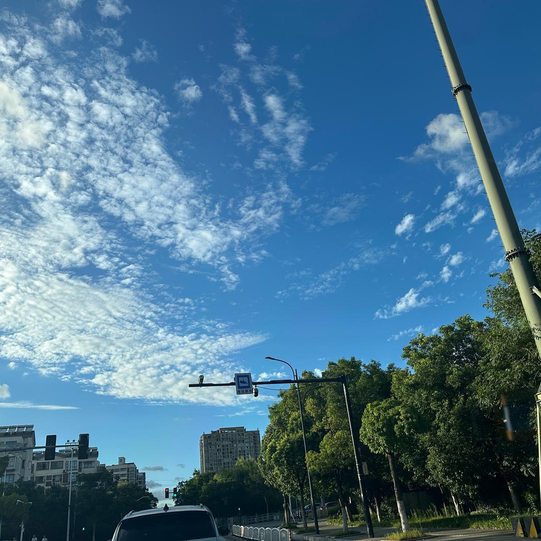 小楼昨夜又东风