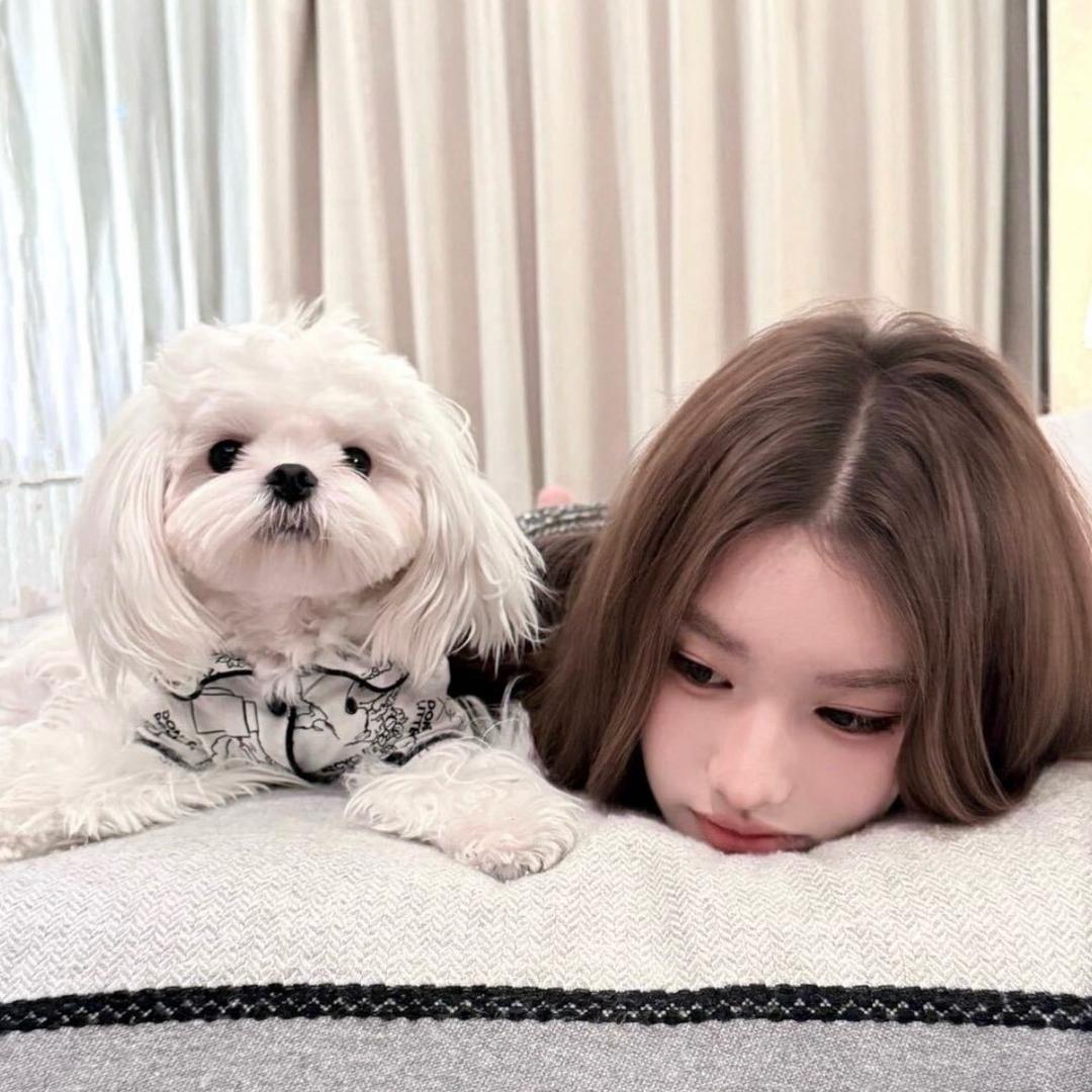 小选