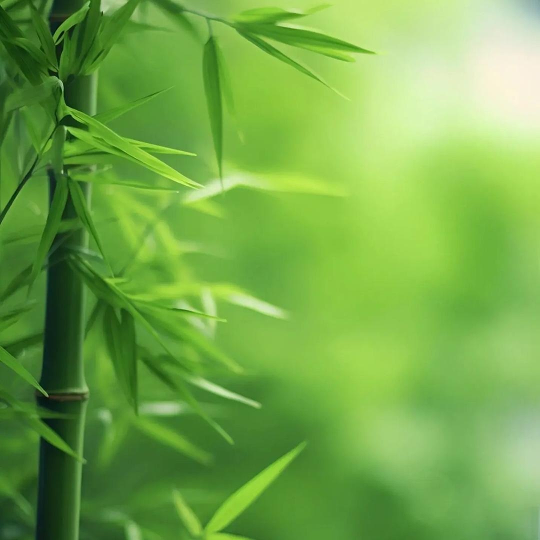 罗山蚝门海鲜烧烤