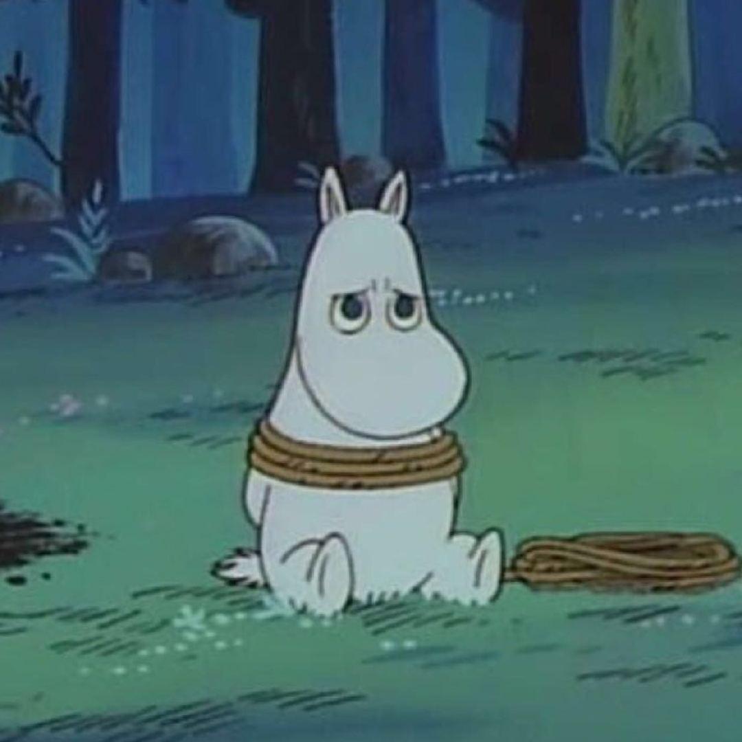 wdy