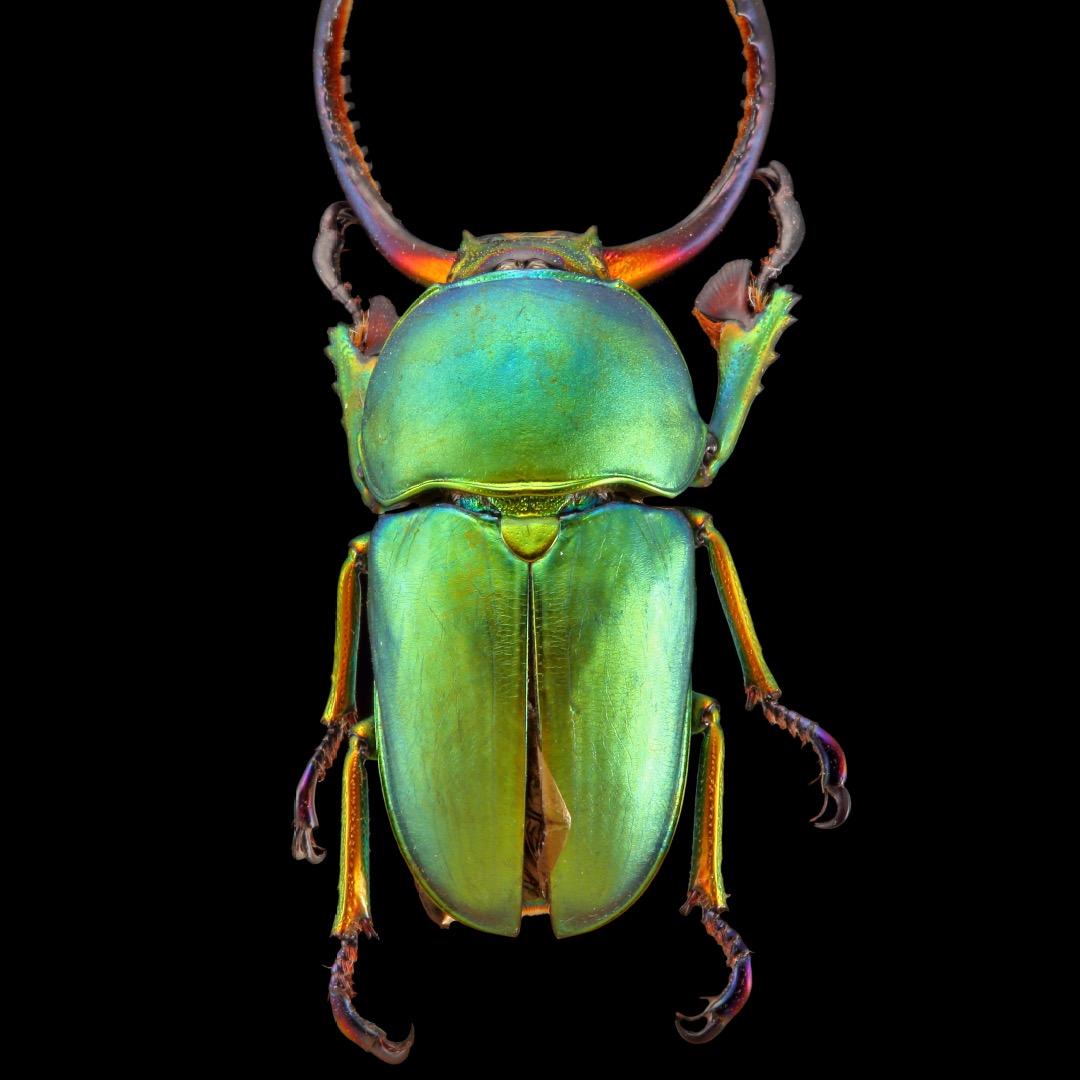 鲅鱼圈博洛尼全屋定制