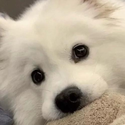 𝓾𝓻𝓸𝓻C-抖店 商品卡