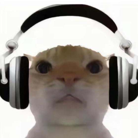 cvvlo