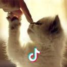 彩虹糖🌈🌈🌈