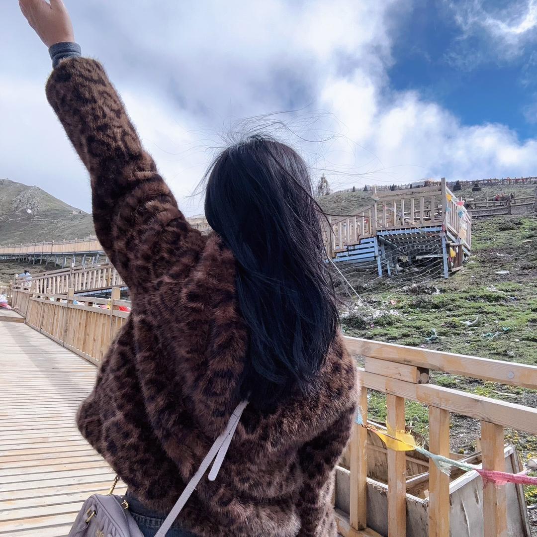 🦋.奈斯࿐（回收♻️废铁）