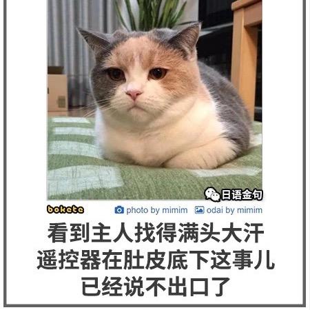发条橙