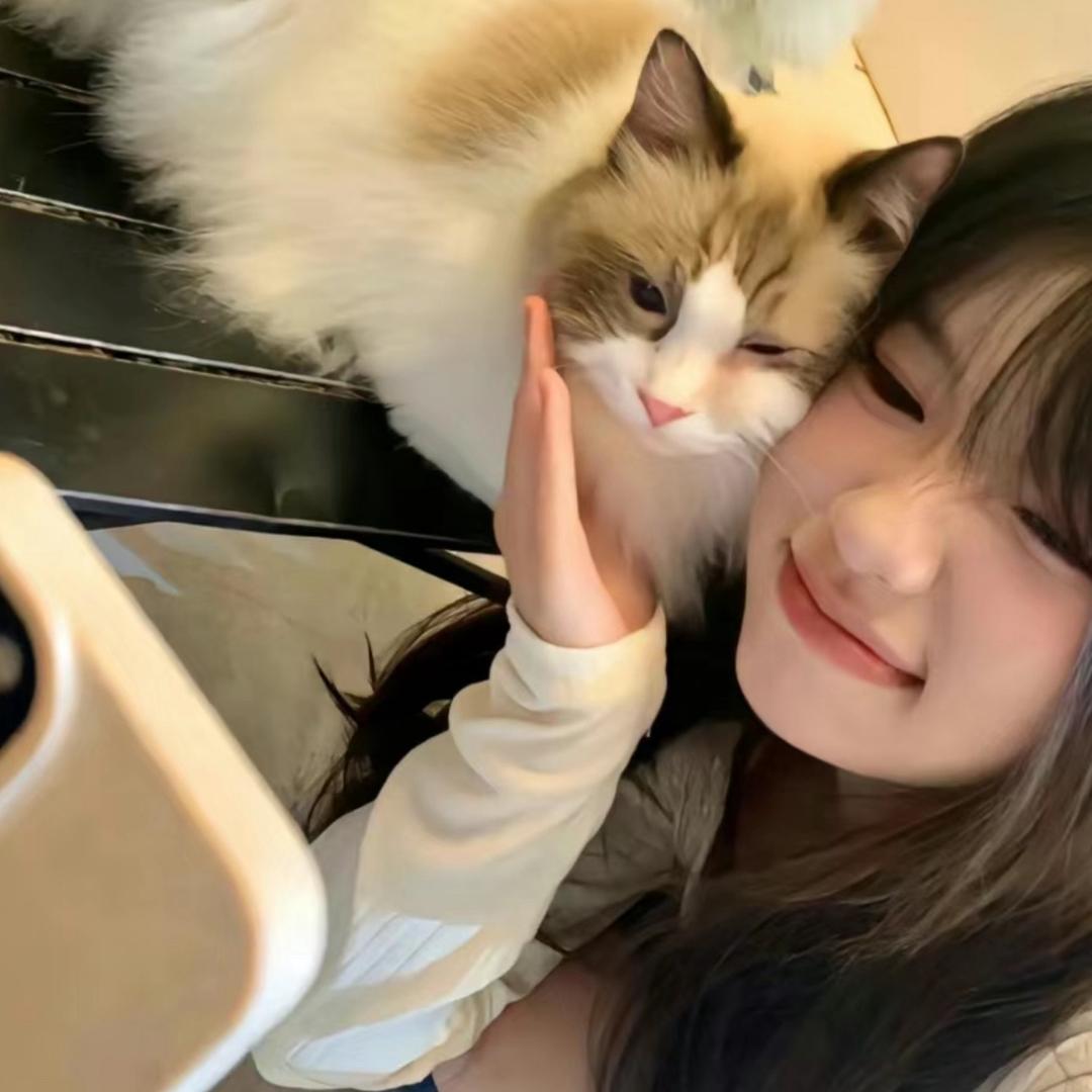 零碎Kitty猫