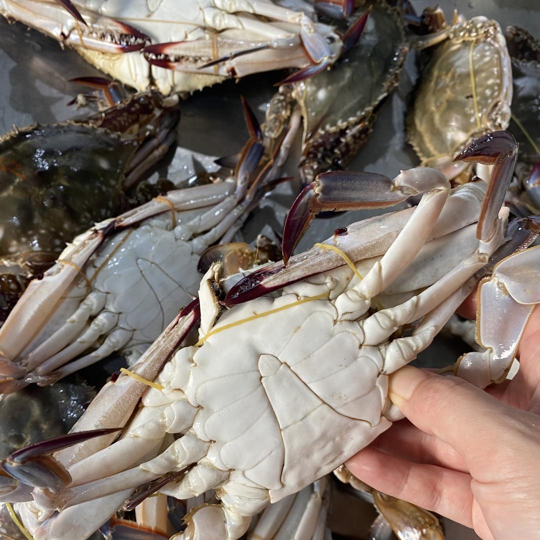 甄选鲜海鲜