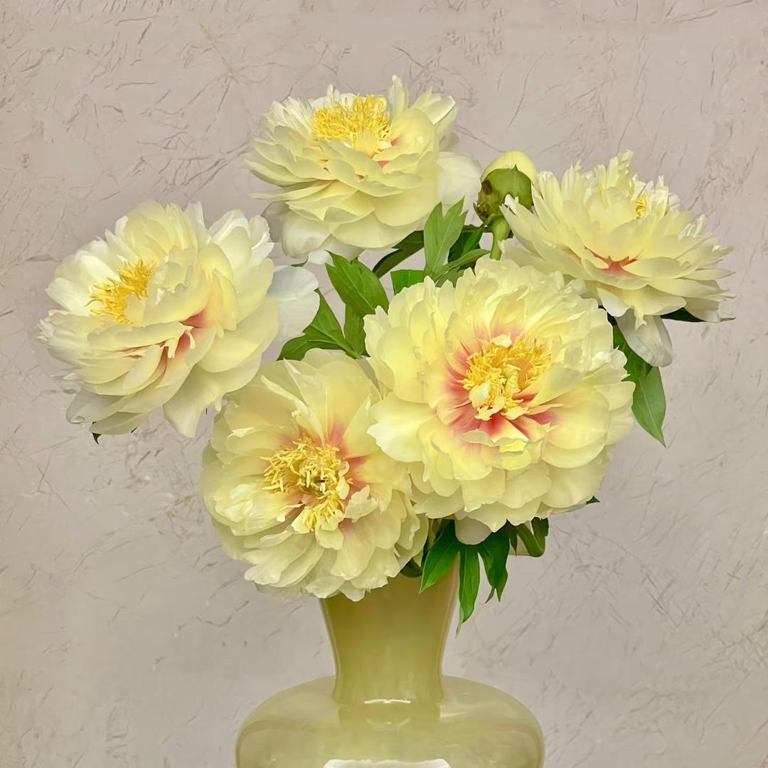 云之南鲜花