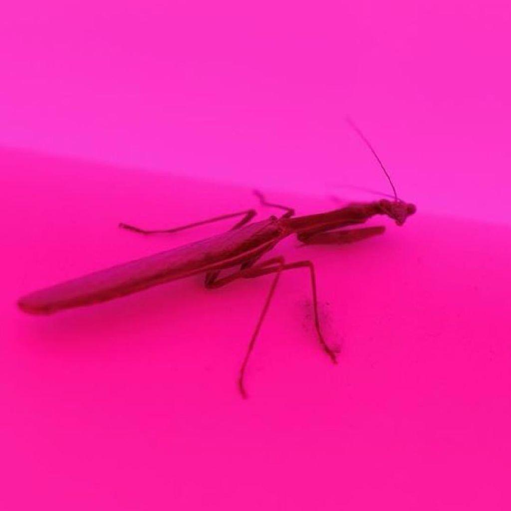 记得开心亿点