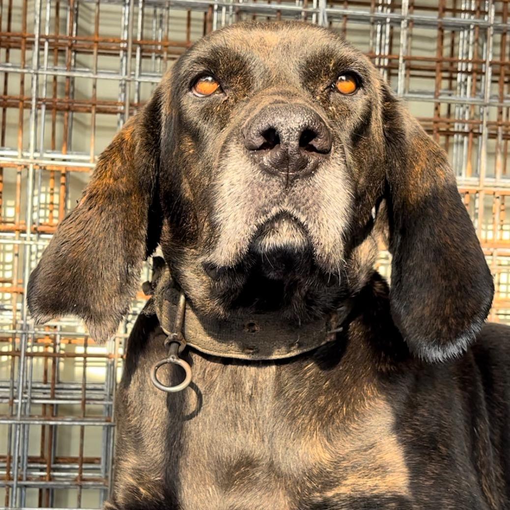 广东亿通普罗特