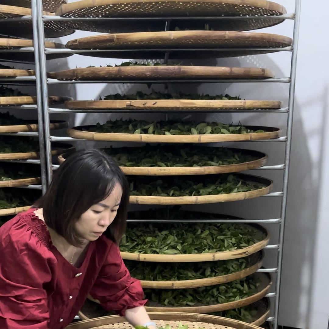 丰品茶叶（打包姐）漳平水仙茶