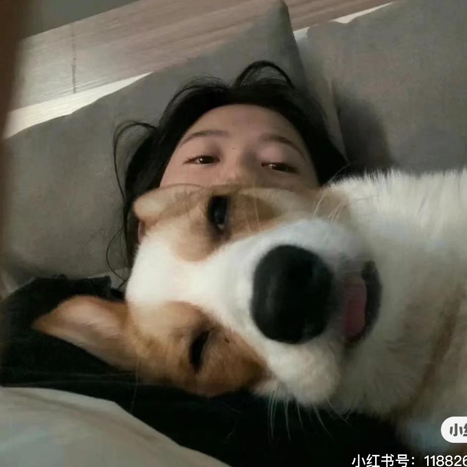 一只长颈陆🦌