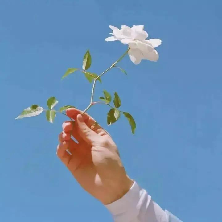 可 能
