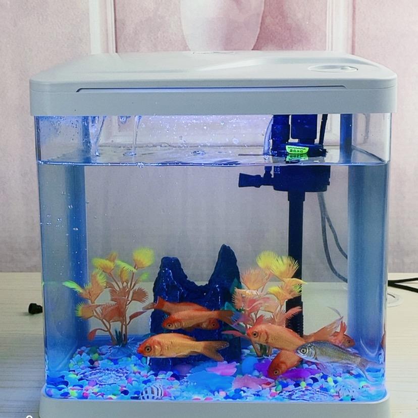 自然界水族