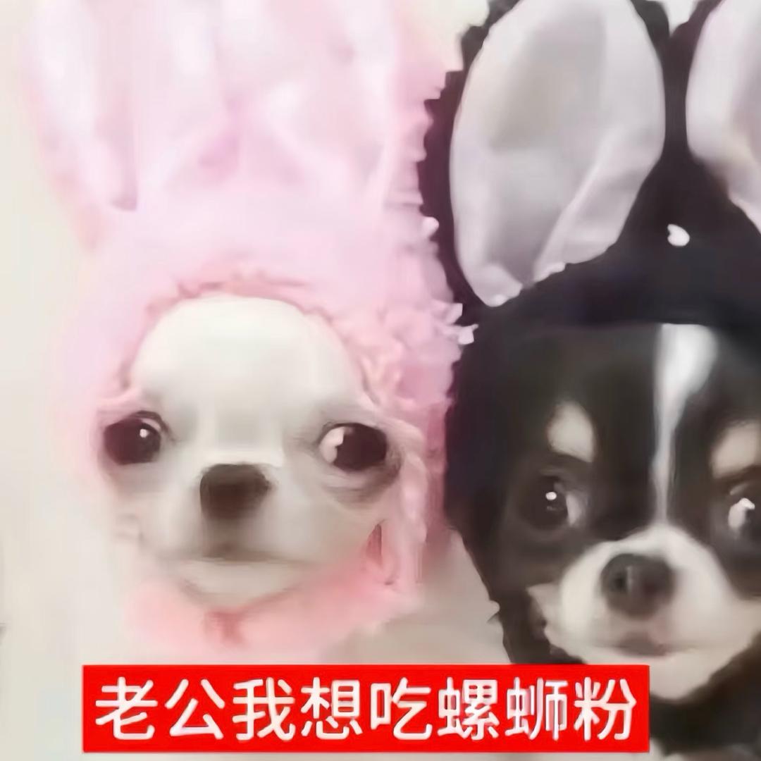 我对你何止半分真心
